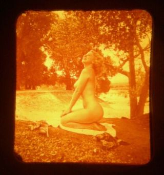 Nude Naturist Model - Pinup Stereoview Realist Slide - Vintage/girl/3d/photo/art