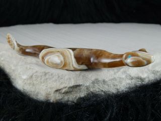 Rattlesnake Zuni Fetish Carving - Nelson Yatsattie