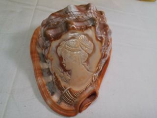 Vintage Carved Etched Cameo Lady Profile Shell 5.  5 " Seashell Conch - Italy