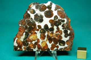 Sericho Pallasite Meteorite 83.  7 Grams