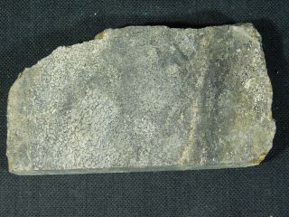 A Big 200 Million Year Old Cut Dinosaur Fossil Bone From Utah 228gr e 3