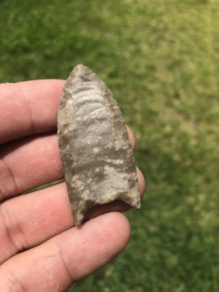 Folsom Point / Clovis Point? Paleo Indian Artifact Arrowhead Native American