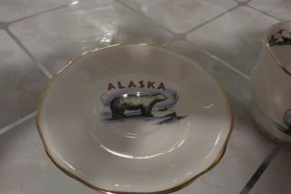 ALASKA Cup & Saucer Polar Bear by Queen Anne Bone China England Rare Vintage 2