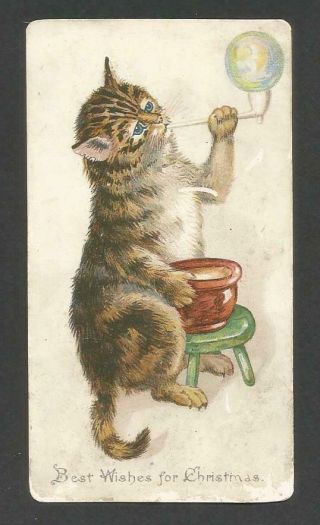 D78 - Anthropomorphic Cat Blowing Bubbles - Victorian Xmas Card