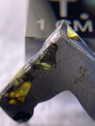 Meteorite Esquel,  Pallasite Pmg 1.  70 Grams Rare