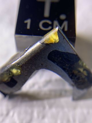 Meteorite Esquel,  Pallasite PMG 1.  70 Grams Rare 2