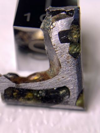 Meteorite Esquel,  Pallasite PMG 1.  70 Grams Rare 3