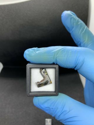 Meteorite Esquel,  Pallasite PMG 1.  70 Grams Rare 4