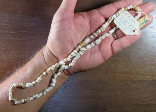 24 In.  Mississippian Shell Bead Necklace,  Hiwassee,  Polk Co. ,  Tn X Beutell