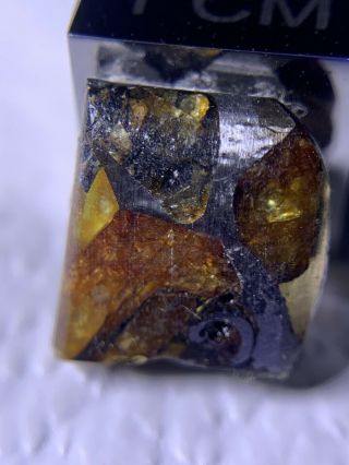 Meteorite Esquel,  Pallasite Pmg 0.  66 Grams Rare