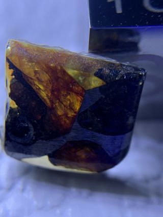 Meteorite Esquel,  Pallasite PMG 0.  66 Grams Rare 2