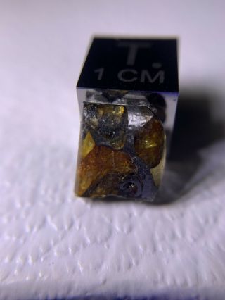 Meteorite Esquel,  Pallasite PMG 0.  66 Grams Rare 3