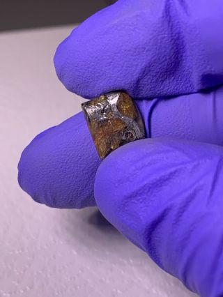 Meteorite Esquel,  Pallasite PMG 0.  66 Grams Rare 4