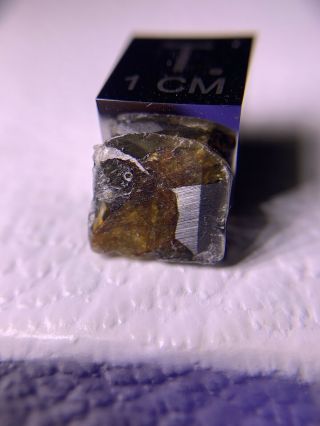 Meteorite Esquel,  Pallasite PMG 0.  66 Grams Rare 5