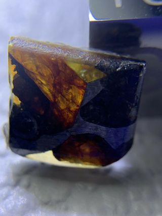 Meteorite Esquel,  Pallasite PMG 0.  66 Grams Rare 7