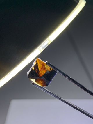 Meteorite Esquel,  Pallasite PMG 0.  66 Grams Rare 8