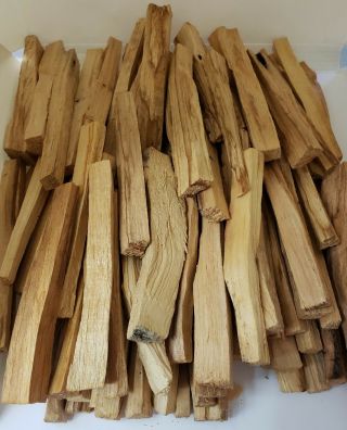 Palo Santo Fresh (bursera Graveolens) Thin Stick 2 Lb Aroma 4 " High