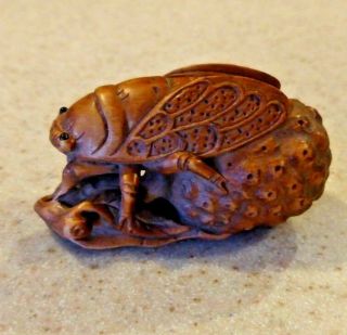 Carved Finely Detailed Wood 2 " Cicada Insect Bug Netsuke On Fruit