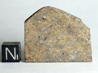 Meteorite Nwa 12577 - L4 Chondrule Party Large Thin Slice
