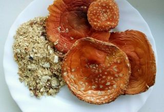 2019 Amanitа Fly Agaric Mushroom Caps Dried & Chopped 40 Grams