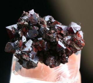 12g Listing Cuprite Crystal Cluster Mineral Specimen