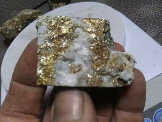 55 Gr Gold And Silver Quartz Vein Rare.  Chalcopyrite Au Ag Kt,