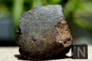 Nwa Unclassified Meteorite 62.  4 Grams Windowed With Metal & Varying Composition