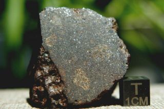 NWA Unclassified Meteorite 62.  4 grams windowed with metal & varying composition 2