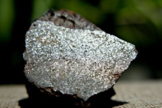 NWA Unclassified Meteorite 62.  4 grams windowed with metal & varying composition 3