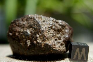 NWA Unclassified Meteorite 62.  4 grams windowed with metal & varying composition 4