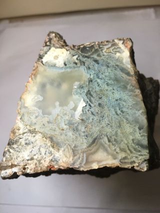 3.  3 Pounds Lost Limb Cast Oregon Moss Agate Rough For Lapidary