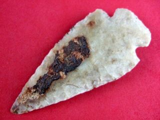 Fine Quality Authentic Missouri Dovetail Point Indian Arrowheads
