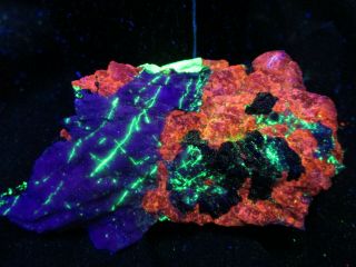 Sphalerite Magnetite Crystals Troosite Fluorescent Mineral Rock Sterling Hil C15