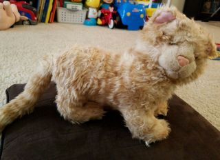 Harry Potter GUND Plush Argus Filch ' s Pet Kitty Cat MRS.  NORRIS Stuffed Animal 2