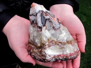 Multicolored Calcite Crystal Chihuahua Mexico Mineral Gemstone Natural Specimen