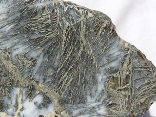 Rimrock: 1.  75 Lbs Rare Feather Pyrite Rough