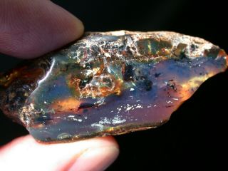Sky Blue Amber Fossil Gemstone Top Quality Specimen