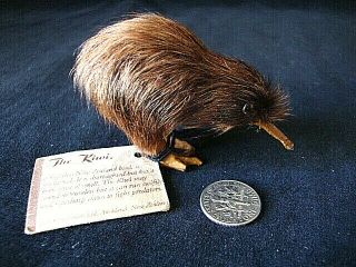 Kiwi Souvenir - Derek Souvenirs,  Auckland Zealand Small Kiwi Flightless Bird