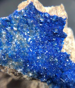 Blue Kinoite Crystals On Matrix: Christmas Mine.  Gila County,  Arizona