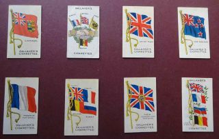 The Allies Flags Issued 1914 By Gallaher Set 25