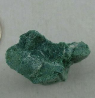 Rare Bright Green Chromium Petrified Wood from Winslow Arizona 17 grams 4