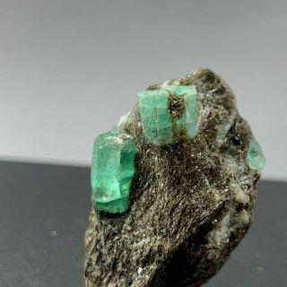 Beryl Var.  Emerald In Schist Malyshevo Russia Fine Thumbnail Mineral Specimen
