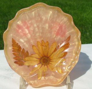 Vtg Pink Mcm Lucite Shell Soap Dish Spoon Rest Dried Flowers Daisy Footed Bowl
