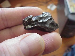 Heavily Pock Marked Iron Nickel Meteorite Sikhote - Alin Russia
