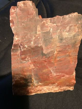 Rare Arizona Rainbow Petrified Wood Natural Slab Rough Raw Solid Fossil 8 Lbs