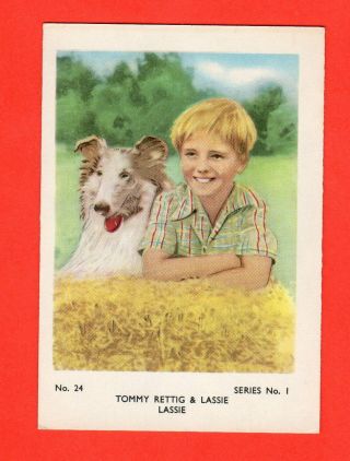 1958 Tommy Rettig & Lassie - Lassie Snap/atv Serie 1