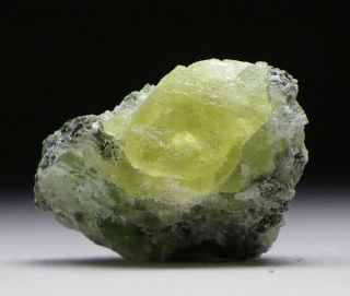 Shortite - Rare Yellow Mineral In Matrix - Mont Saint - Hilaire 2