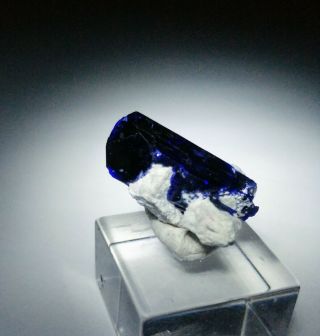 MAGNIFICENT - Blue Azurite crystal w/matrix,  thumbnail Milpillas mine Mexico 3