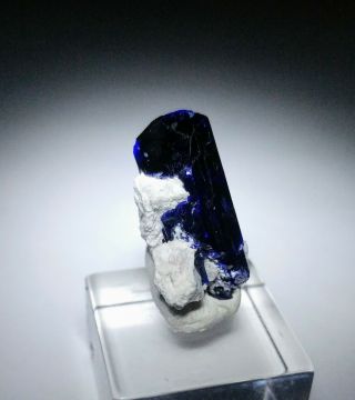 MAGNIFICENT - Blue Azurite crystal w/matrix,  thumbnail Milpillas mine Mexico 5