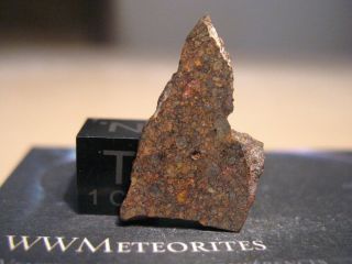 Meteorite NWA 11538 - Chondrite LL3 - Closely Packed Chondrules 2
